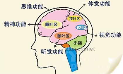 如果人類語(yǔ)言文字短時(shí)間創(chuàng)造，文字識(shí)別大腦皮層如何快速演化？
