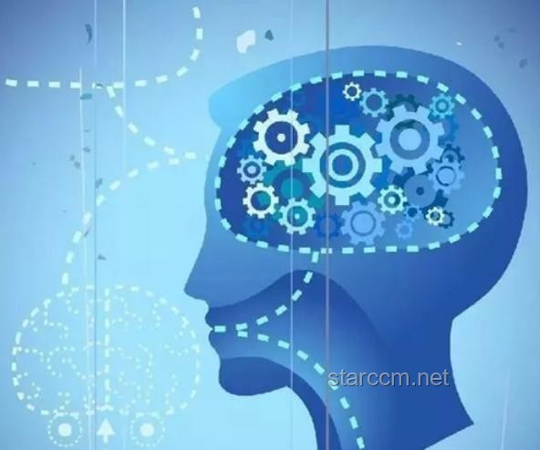 人的大腦會不會出現(xiàn)「過擬合」?。刻骄看竽X學(xué)習(xí)與記憶的奧秘