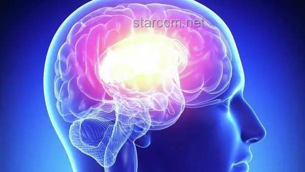 人的大腦會不會出現(xiàn)「過擬合」病？探究大腦學(xué)習(xí)與記憶的奧秘