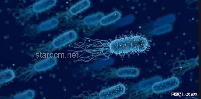 **中國空間站揭秘：微生物新物種的驚人發(fā)現(xiàn)**