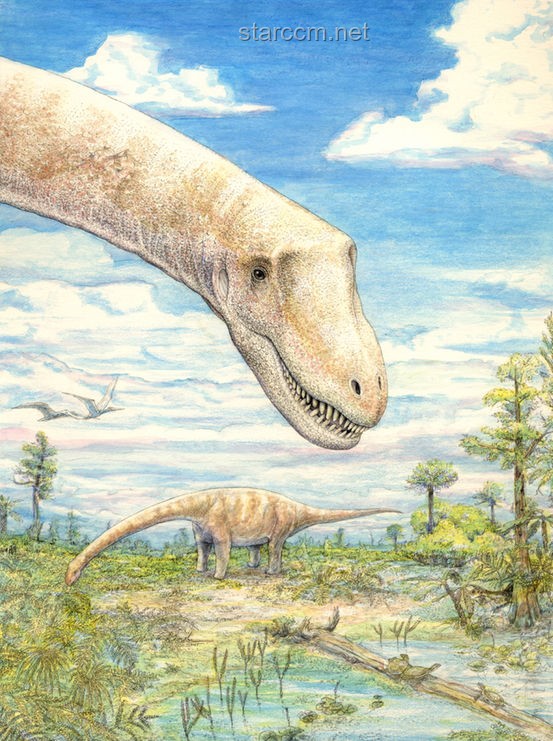 **中國空間站揭秘：微生物新物種的驚人發(fā)現(xiàn)**