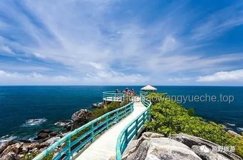 田曦薇海口行：解鎖海島城市的魅力之旅