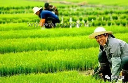 種地吧：回歸田園，掌握現(xiàn)代農(nóng)耕智慧