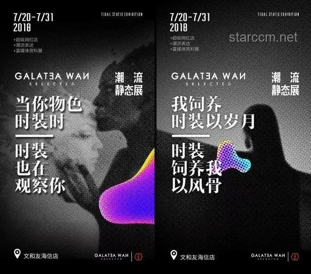 成毅空降：粉絲狂歡與文化現(xiàn)象的深度剖析