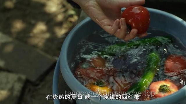 又見馬茹子：記憶中的野味與現(xiàn)代生活的邂逅