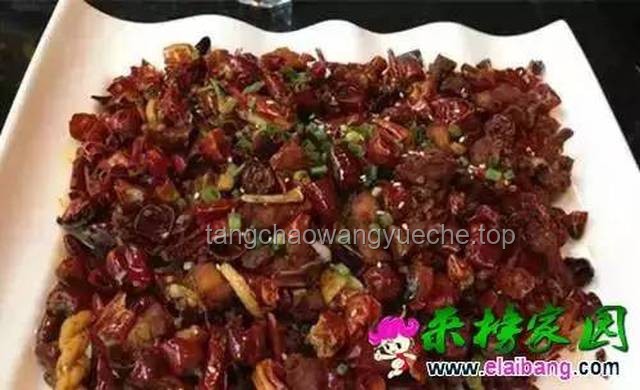 又見馬茹子：記憶中的野味與現(xiàn)代生活的邂逅