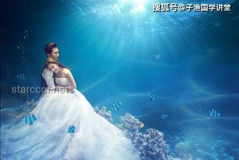 【杜比視界】在萬島之國，探索水下攝影的首次免費樣片之旅？