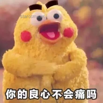這就是緣分嗎？果然莫名其妙——揭秘那些不可思議的相遇瞬間