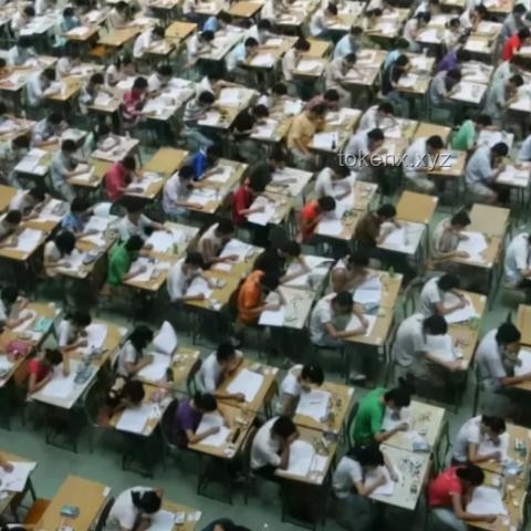 為什么我們明明可以借鑒他人經驗，卻仍偏愛自己摸索人生路？