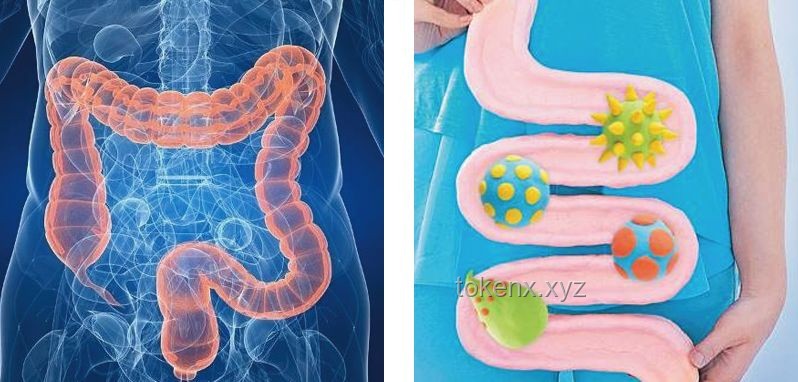 沙漏腰3.0進(jìn)階案例研究：30分鐘站立無跑跳核心訓(xùn)練對(duì)髖靈活、胸椎靈活的提升
