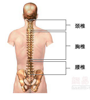 沙漏腰3.0進(jìn)階案例研究：30分鐘站立無跑跳核心訓(xùn)練對(duì)髖靈活、胸椎靈活的提升