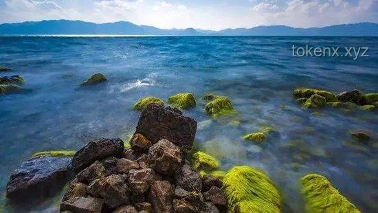 探秘云南撫仙湖：水下古城探險全攻略