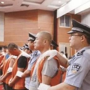 死緩制度下的執(zhí)行選擇：申請立即執(zhí)行的深度剖析