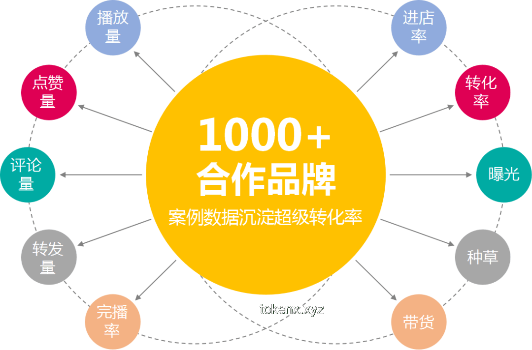 特廚隋坡的啟示：MCN的自我毀滅路徑與創(chuàng)新重生策略 ??, 轉(zhuǎn)型, 策略升級, 內(nèi)容創(chuàng)新, 數(shù)字化生態(tài)