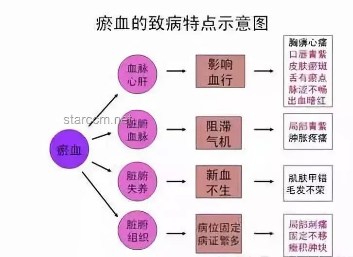 《腿》：人體工學(xué)、運(yùn)動(dòng)科學(xué)、康復(fù)醫(yī)學(xué)、生物力學(xué)與市場(chǎng)趨勢(shì)的深度剖析