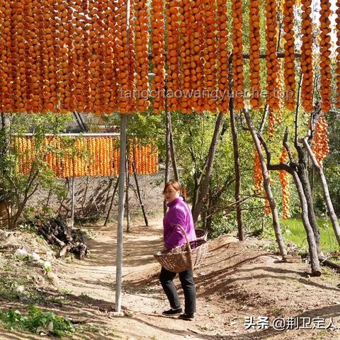 如何高效模仿不同地區(qū)美食劇氛圍，應(yīng)對(duì)忙碌拍攝日？