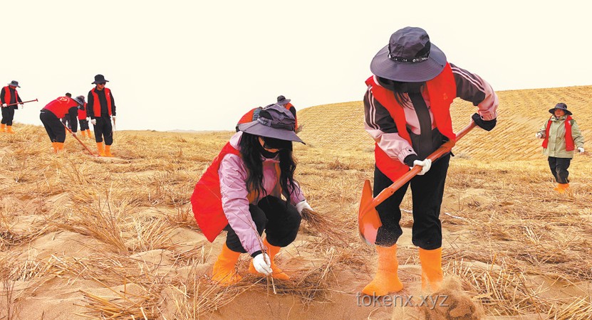 停更一月，我在甘肅民勤改造治沙人住所：打造防風(fēng)保暖新居指南