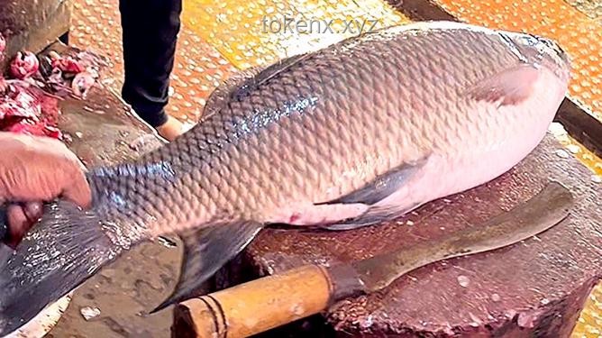 刮魚鱗完整實況超解壓版與傳統(tǒng)刮魚鱗方法對比分析：適合飯前飯中飯后觀看的解壓選擇