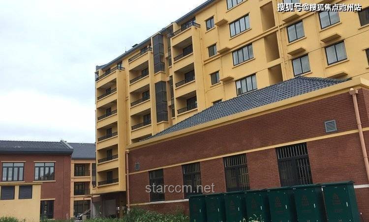 過(guò)度解釋與適度闡述：信息傳遞的深度與效率對(duì)比