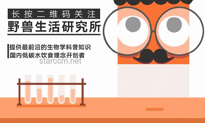 【P1-P9】現(xiàn)代社會男性健康狀態(tài)多維度對比分析：虛不虛，事實說話
