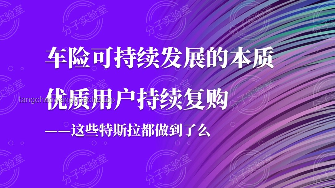馬斯克決心領(lǐng)航特斯拉：領(lǐng)導(dǎo)力、堅(jiān)持與未來(lái)的啟示