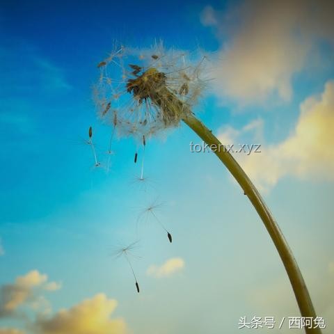 探索行業(yè)邊際：去了一趟“世界盡頭”的啟示