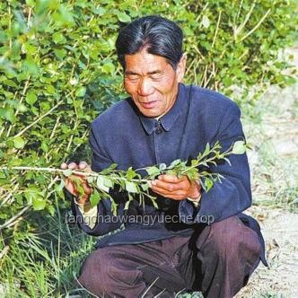 停更快月，我在甘肅民勤升級治沙人住所：打造防風(fēng)抗寒新家園