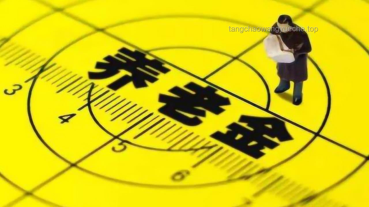 退休人員樂開花！2025年養(yǎng)老金“雙增長”全攻略
