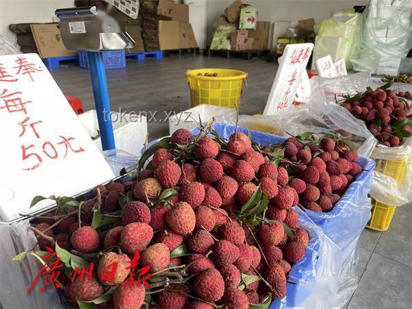 這一口荔枝等了一年：荔枝產(chǎn)業(yè)的季節(jié)性挑戰(zhàn)與可持續(xù)發(fā)展策略