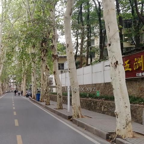 5月22日武漢暴雨警報(bào)解析：武大校門(mén)被淹，出行指南