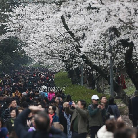 5月22日武漢暴雨警報(bào)解析：武大校門(mén)被淹，出行指南