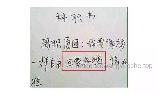 當(dāng)前年輕人“不開(kāi)心即辭職”現(xiàn)象深度剖析：底氣何在？