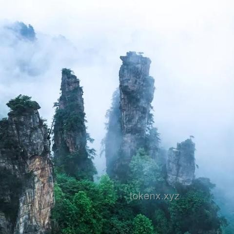 張家界暴雨洪水災害下的旅游業(yè)應對策略與行業(yè)洞察