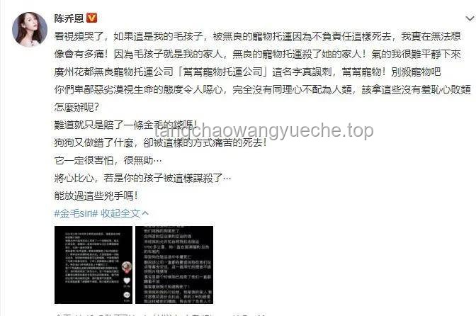 “最符合閱片無(wú)數(shù)的一集！從來(lái)沒(méi)這么緊張過(guò)”——《閱片無(wú)數(shù)SP》深度剖析與行業(yè)趨勢(shì)