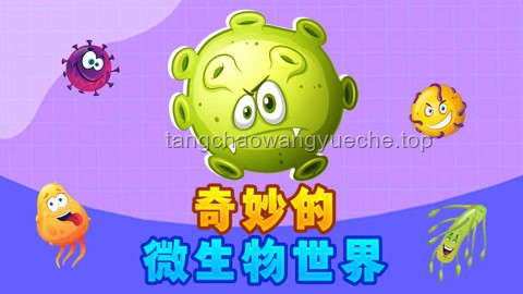 《大孔寬蓋》科普小課堂：了解微生物世界的奇妙構(gòu)造