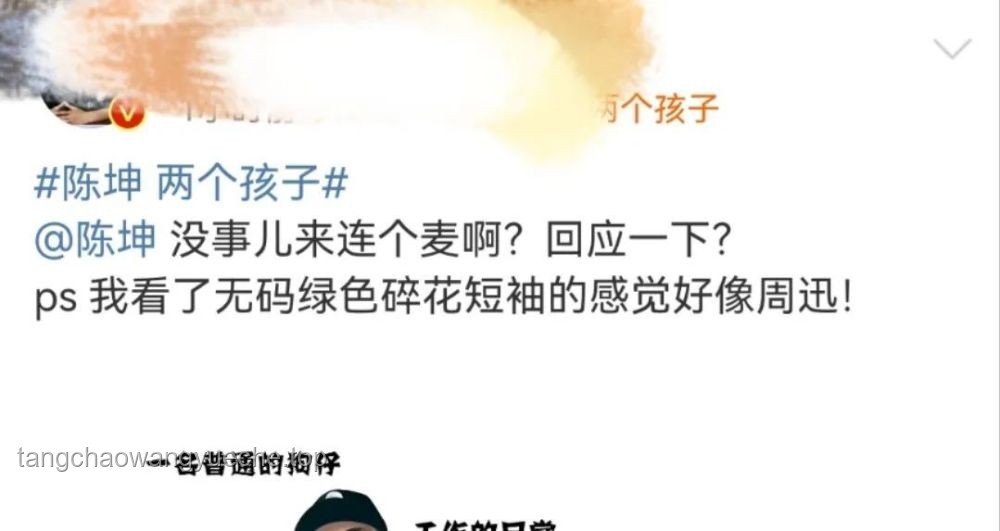 陳坤發(fā)文背后的家庭教育與社會影響深度剖析：代際成長與公眾形象塑造