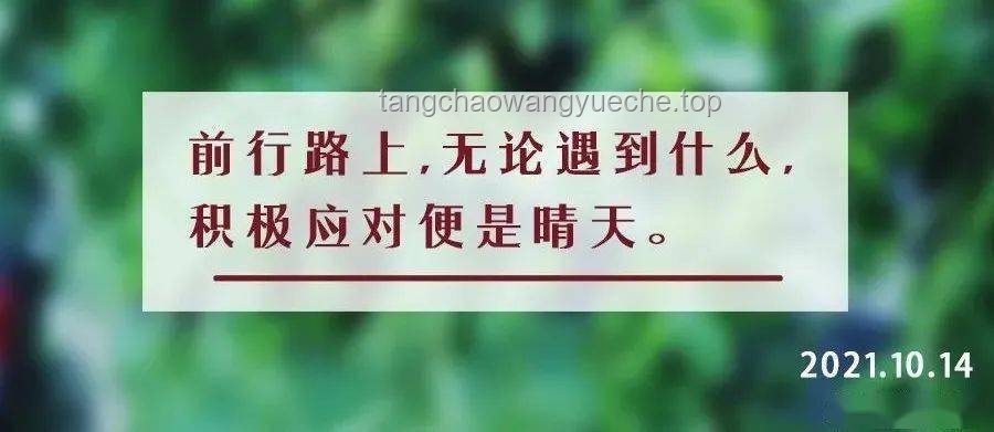 “曾經(jīng)我也想過一了百了”與積極生活態(tài)度的對比分析：心理狀態(tài)、人生選擇與社會影響