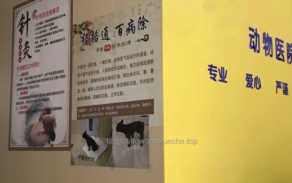 花4000元報(bào)冥想班：智商稅還是心靈投資？