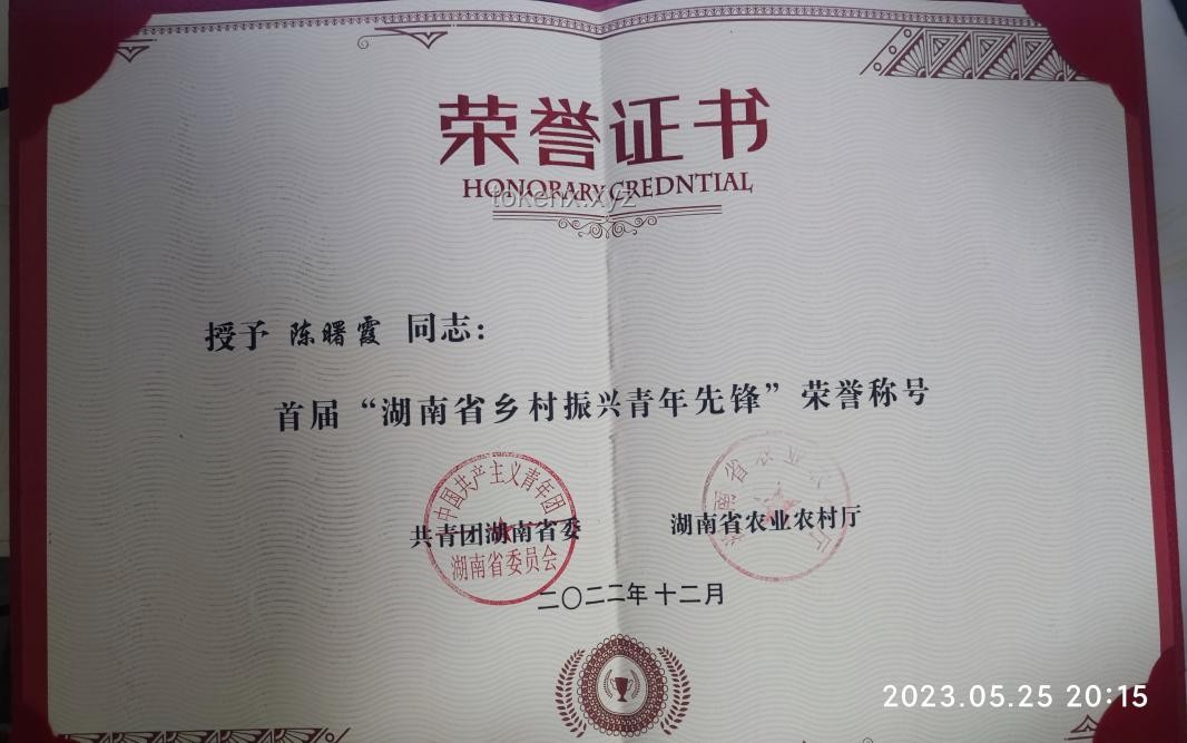 湖南榮譽(yù)上榜全攻略：如何助力地區(qū)與個(gè)人贏得全國(guó)文明稱號(hào)