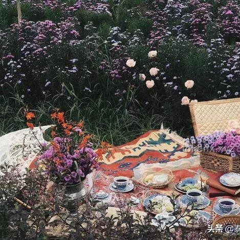 **從“Flower”中尋覓“l(fā)ove”：在細(xì)微處發(fā)現(xiàn)愛的真諦**