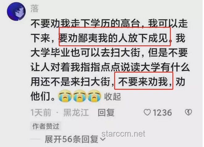 “孔乙己式身份錯(cuò)位”的個(gè)案研究：自我認(rèn)知與社會(huì)標(biāo)簽的沖突與和解