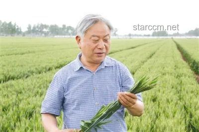 農(nóng)業(yè)科技創(chuàng)新與種業(yè)發(fā)展洞察：致敬袁隆平先生的“禾下乘涼夢”