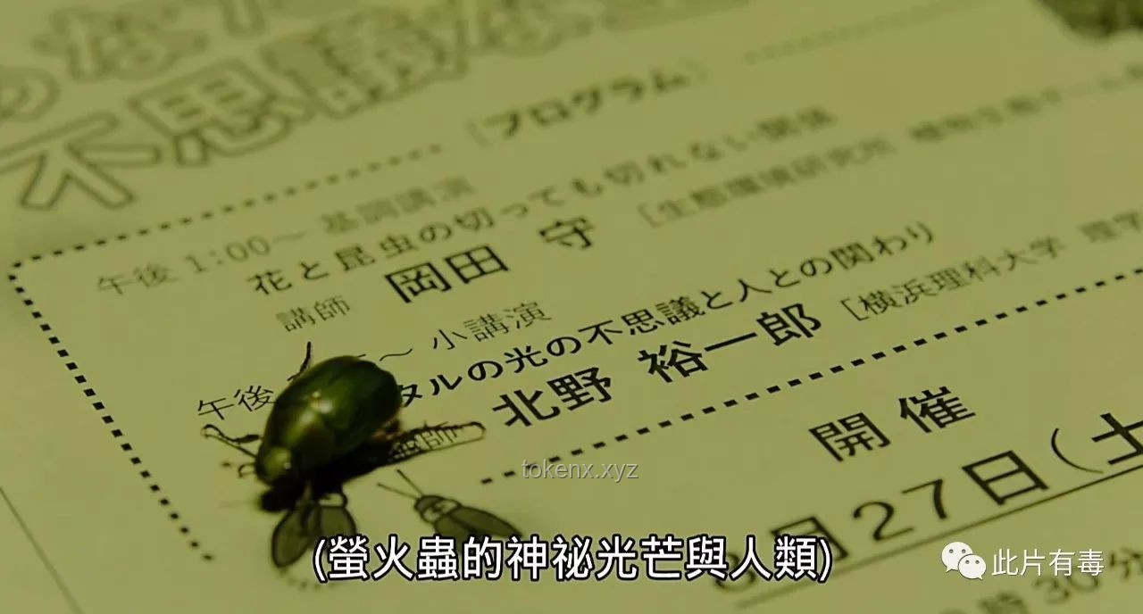 深度探索：禁降淫欲，理解短軟狼牙棒與后天人種袋的隱喻迷思實(shí)用指南