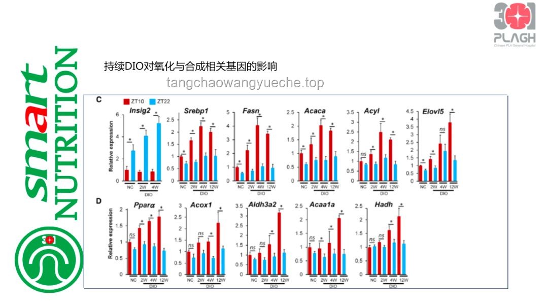 **差分宇宙科研新突破：抽血流青雀重塑DOT隊巔峰表現(xiàn)對比解析**
