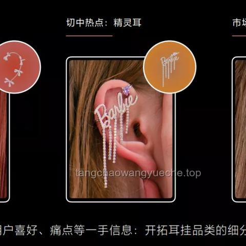 耳環(huán)市場的細分化趨勢與品牌策略創(chuàng)新案例研究