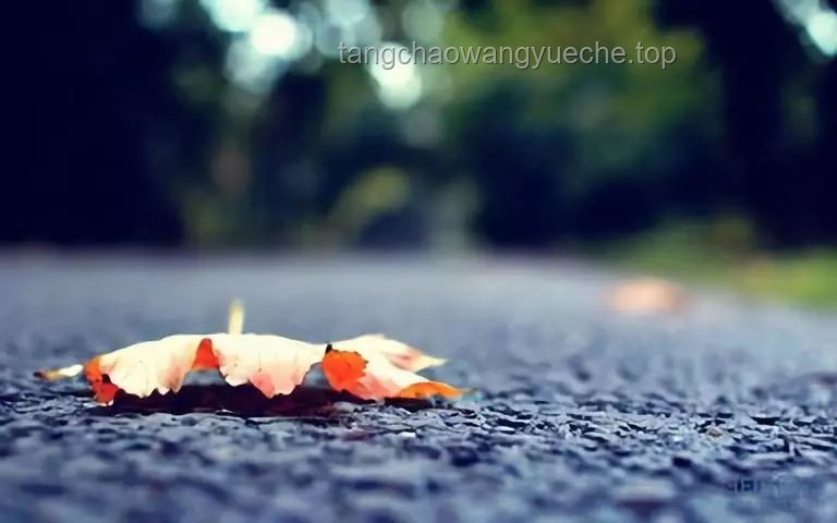 別掉入虛無(wú)主義的牢籠，你本身就是意義 VS 虛無(wú)主義視角下的生活態(tài)度