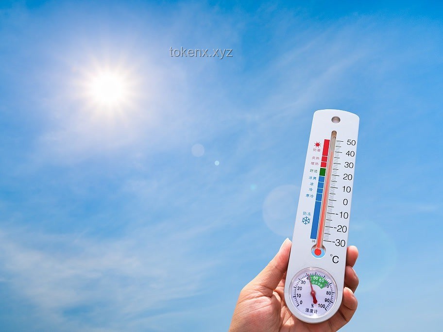 熱浪來襲：全球不同城市高溫天氣對(duì)比分析