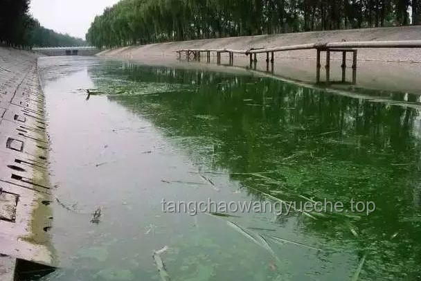 修水壩二期工程與溪流生態(tài)環(huán)境恢復(fù)：義不容辭的責(zé)任與策略