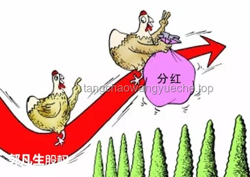 《怪誕耗子》系列爆紅背后的網(wǎng)絡(luò)視頻行業(yè)洞察