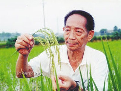 【袁隆平逝世四周年】農(nóng)業(yè)科技創(chuàng)新與糧食安全：袁隆平精神引領(lǐng)行業(yè)發(fā)展